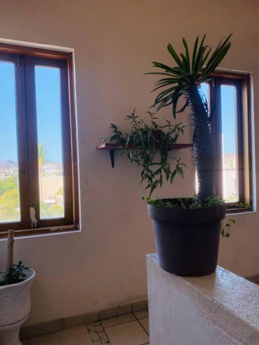 Casa Bahia 2 Blocks Malecon Amaizing Ocean View Apartment La Paz Exterior foto